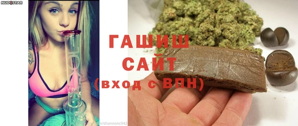 эйфоретик Гусь-Хрустальный