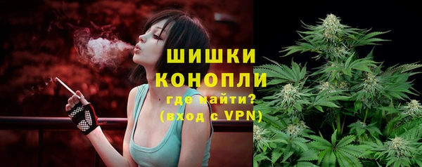 дмт Горнозаводск