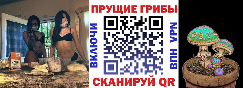 Галлюциногенные грибы GOLDEN TEACHER Бердск